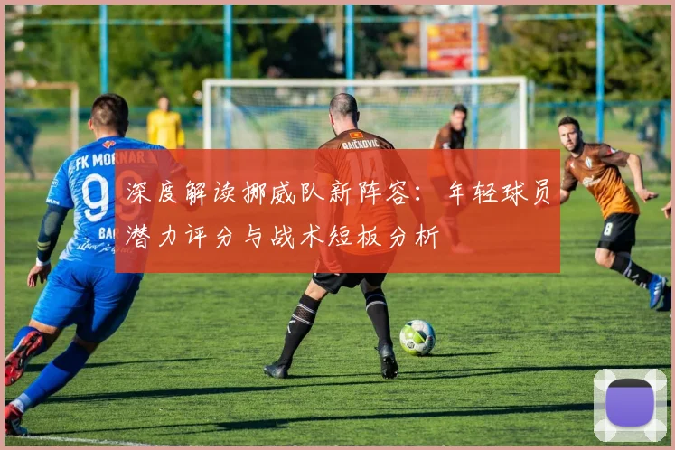 深度解读挪威队新阵容：年轻球员潜力评分与战术短板分析